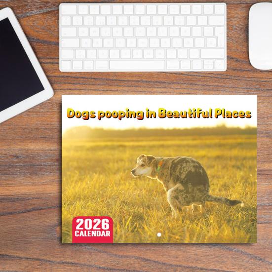 Настенный календарь 2026 год Собака какает/Злой кот Календарь Январь 2026 - Декабрь 2026 12-месячный планировщик для класса, дома, офиса