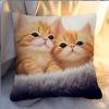 Simple Cute Kitten Pillow Cartoon Sofa Bedside Cushion Car Office Nap Cushion Cat Pillow