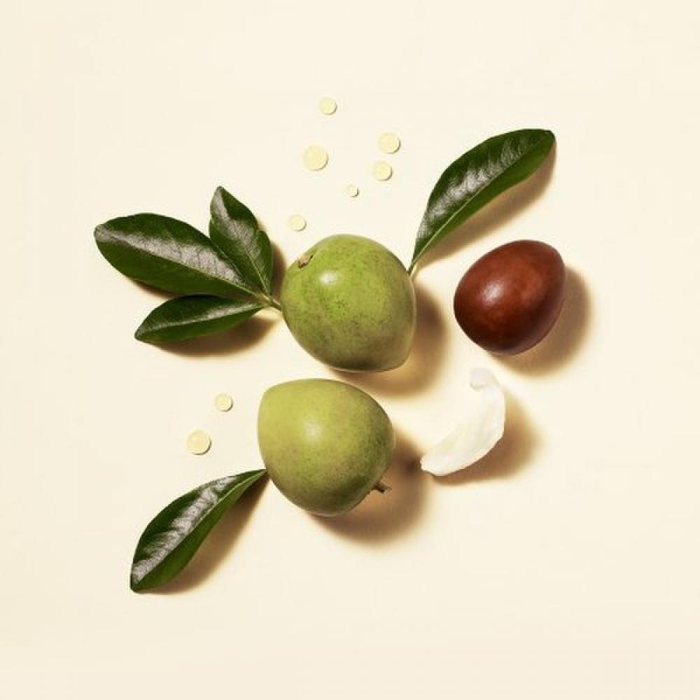 Rene Furterer Caritte Professional Shampoo 500ml