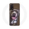 Case - Redmi - Note 11 Pro 5G - Pitbull Dog - White and Gray - Flexible and Decorative