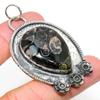 Turritella Fossil Handmade 925 Sterling Silver Gift Pendant 2.52" g0E42