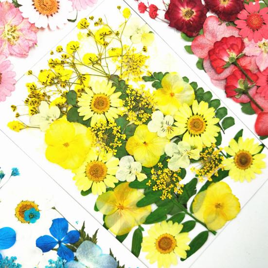 1 Set Dried Pressed Flowers Kit Colorful Natural Flowers DIY Art Crafts Supplies Resin Jewelry Epoxy Mold Candle Soap Vase Making Nail Card