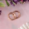 1 Pair Hinged Septum Nose Ring Segment Ear Lip Labret Hoop Rose Mm 8mm 10mm