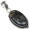 Pendant Turtella Jasper Gemstone Gift For Her Silver Jewelry 2"