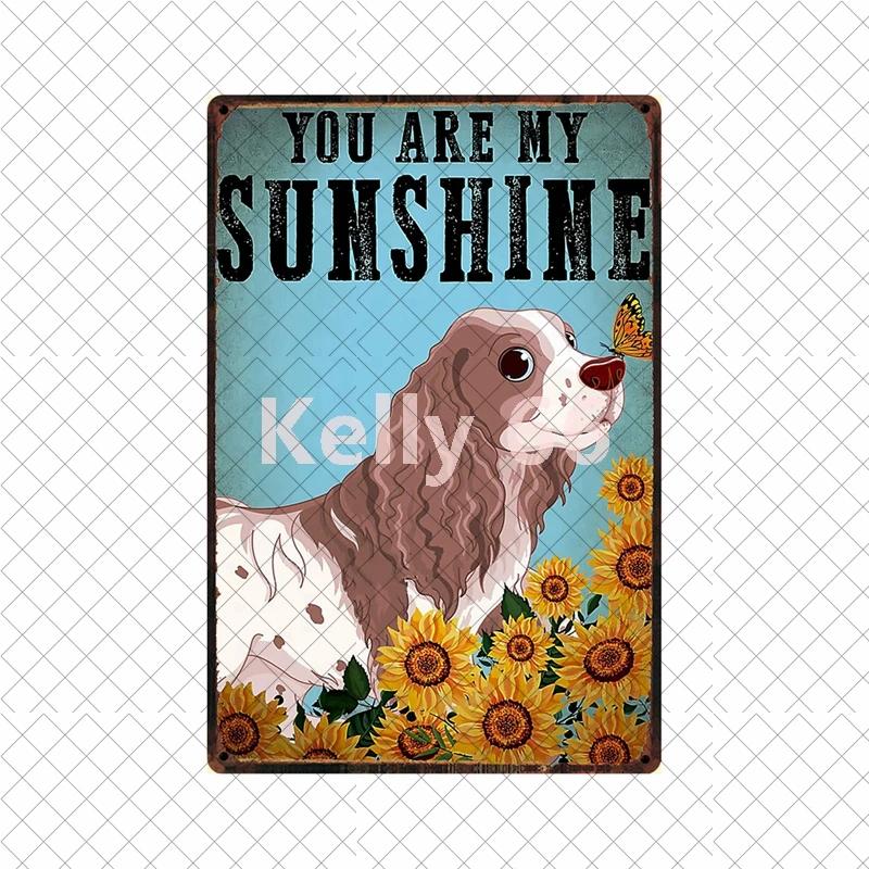 [ Kelly66 ] Домашний Кавалер-кинг-чарльз-спаниель Купание Форма Собака Искусство Жестяная Металлическая Вывеска Декор для Дома Паба Бара Картина Размер 20*30 СМ Dy223