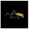Pink Floyd Unisex Adult Ripple T-Shirt