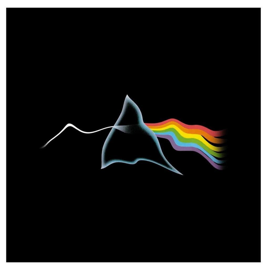 Pink Floyd Unisex Adult Ripple T-Shirt