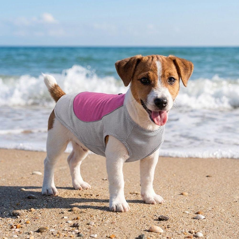 Breathable Mesh Pet Cooling Shirt Ice-Silk Pet Cool Clothes Dog Cooling Ice Vest Beach Travel