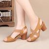 Thick Heel Middle-aged Mother Shoes Summer New Fish Mouth Open-toe Fashion Roman High-heeled Sandals Women