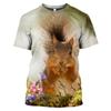 Men Summer Cute Fun Animal Squirrel Figure 3d Printed T-Shirt Casual Personality Comfortable Plus Size O Neck Short Sleeve