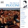 CD ДЖАКОМО ПУЧЧИНИ - Лучшее из Пуччини 8556670 Naxos 1997 Европа Классика Б/У