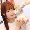 Children's Toys Simulation Cute Rabbit Plush Toy with Long Erect Ears White Rabbit Doll Doll Doll Doll Girl Gift