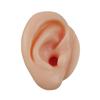 1/2Pcs Silicone Ear Model Impression Taking Training Ear Picking Practice
