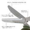 DESIGNPHIL MIDORI Portable 49859006 Multi-Purpose Scissors, Khaki,