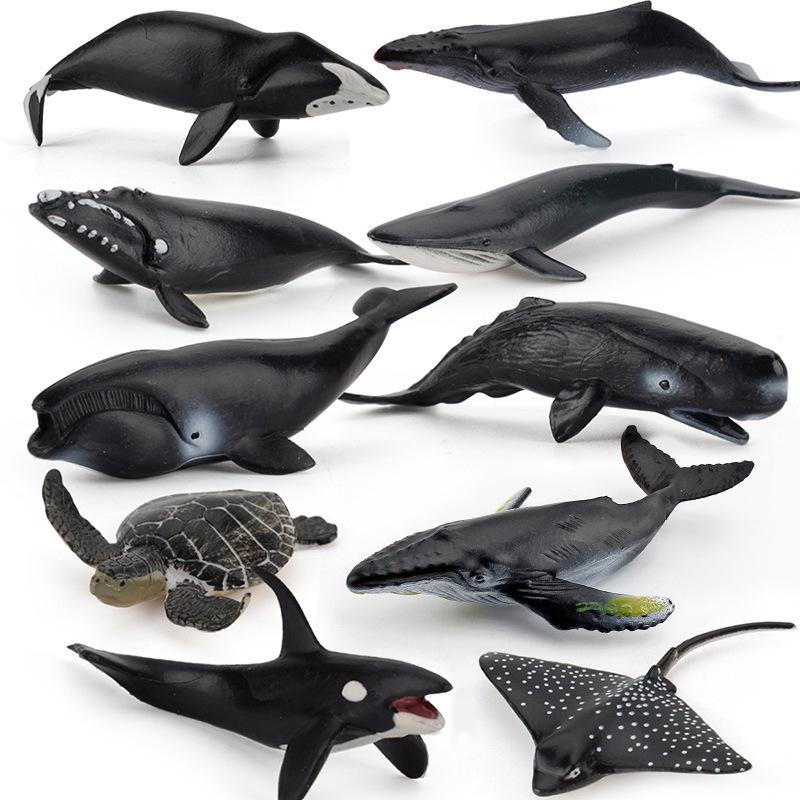 Children's Marine Animal Model Set: Mini Whale, Shark, Dolphin, Turtle, Sea Lion