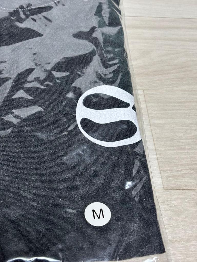 [Б/У] Футболка с длинным рукавом Stray Kids World Tour, Размер M