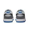 Nike Dunk Low GS Cool Grey Photo Blue Kids Sneakers Black Pure-Platinum Light-Photo-Blue FB9109-001