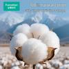 PurCotton Мужское одноразовое нижнее белье из чистого хлопка