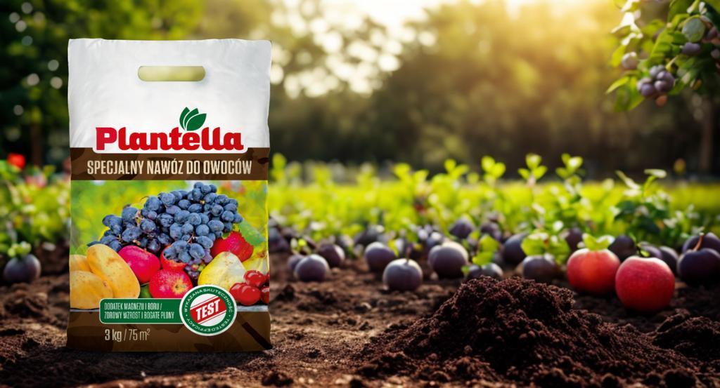 Plantella Extra Plus Universal Multi-Component Fertilizer Npk 20 20 20 500G