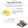 Outdoor Waterproof LED Underwater Fountain Light
