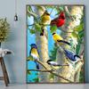DIY Diamond Painting Birds of All Colors Cross Stitch Kit Mosaic Art Diamond Painting Full Circle/Square Diamond Home Decoration