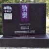 Чай Purple Bud Ziyun Pu'er * 2011 Haiwan Old Comrade Puer Pu Erh Brick Raw 250г