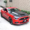 TF Carbon Fiber Vented Hood for 15-17 Ford Mustang: Enhances Engine Bay Heat Dissipation