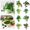 Soft Glue Artificial Plant Green Simulation Bonsai Creative Faux Copper Coin Grass Home Office