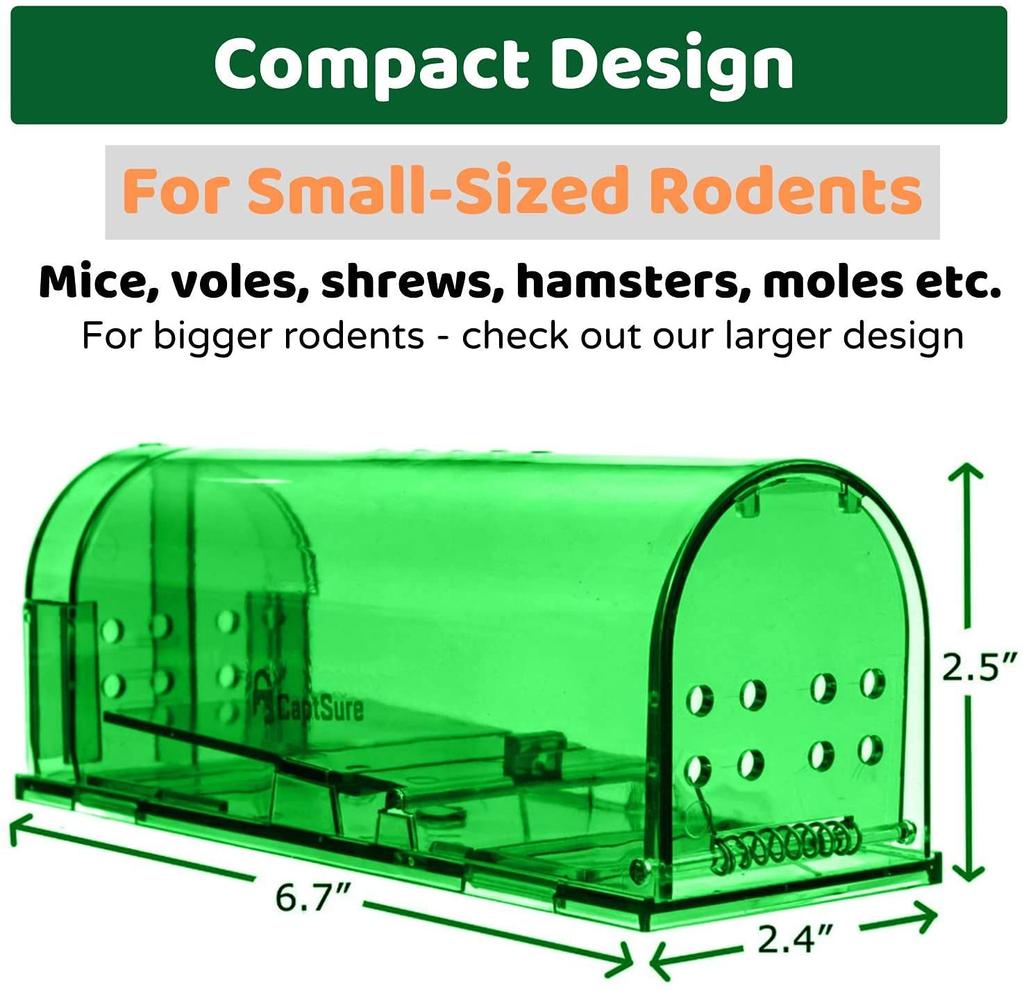 Для небольшой педали мышеловки клей легко установить из 4 Мышеловка, мыши, ловушка, ловушка, тип, приманка, ловушка, мышеловка, уничтожение, лист, ловушка, мышь,