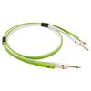 NEO by OYAIDE Elec D+ TS Class B 1.0m Line Cable