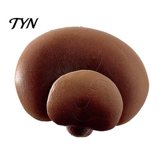 Resin Memo Holder 3D Mushroom Refrigerator Magnet, Fake Decorative Hand Painted Magnets Photo Notes for Whiteboard Cabinet Kitchen