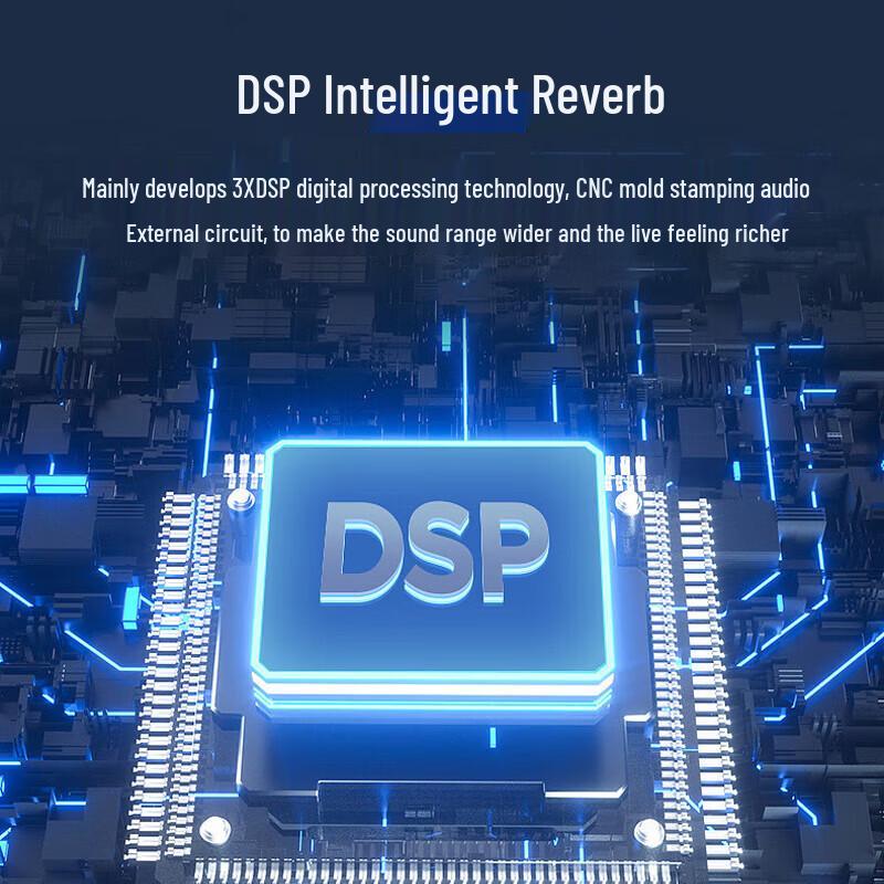 HuiDu Professional DSP Digital Reverb Karaoke Pre-amp (CN version)