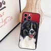 Cartoon Border Collie Phone Case For iPhone 16 15 Pro Max 11 12 13 Mini 14 Plus X XR XS Max Cover