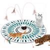Rechargeable Cat Electric Pet Solitaire Play Perfect Gift for Relieves Satisfies Cat Hunting Innate Catch Me LED Japanese Instructions Included Toy,
