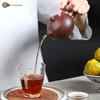 Artisan Yixing Zisha Xishi Teapot Gift Set