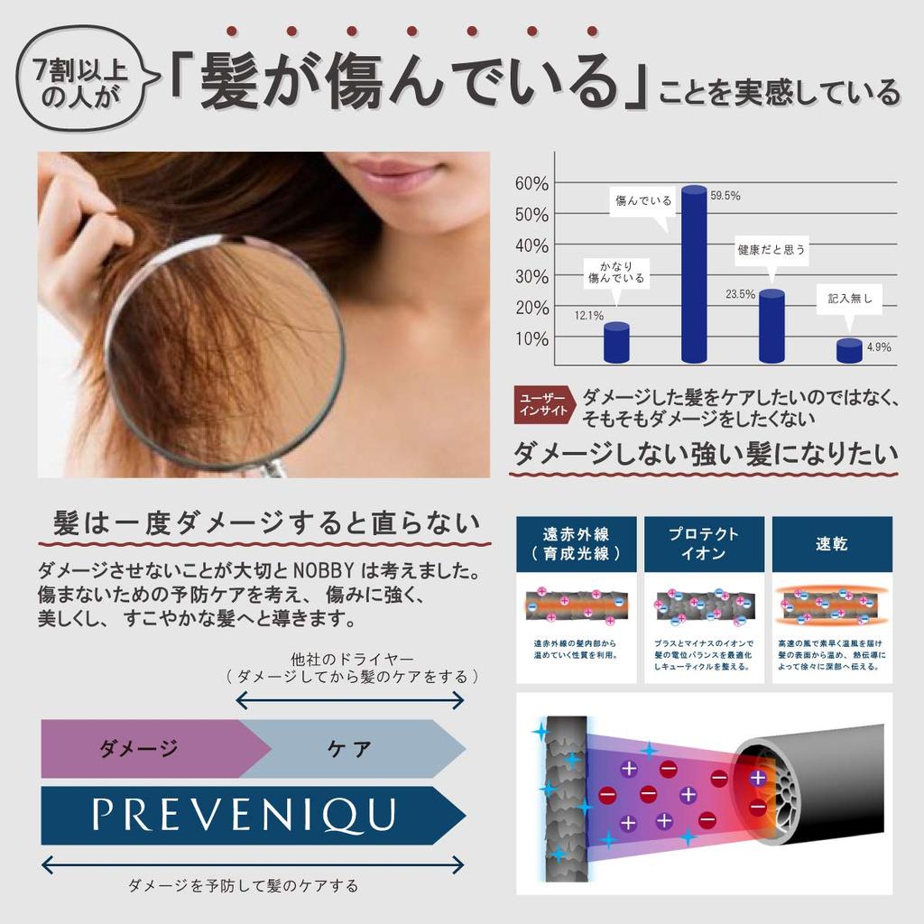 Tescom Privenik Protect Ion Hair Dryer