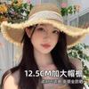 Lace Bow Straw Hat Women's Summer Seaside 2024 New Sunscreen Hat French Fashion Big Brim Sun Hat