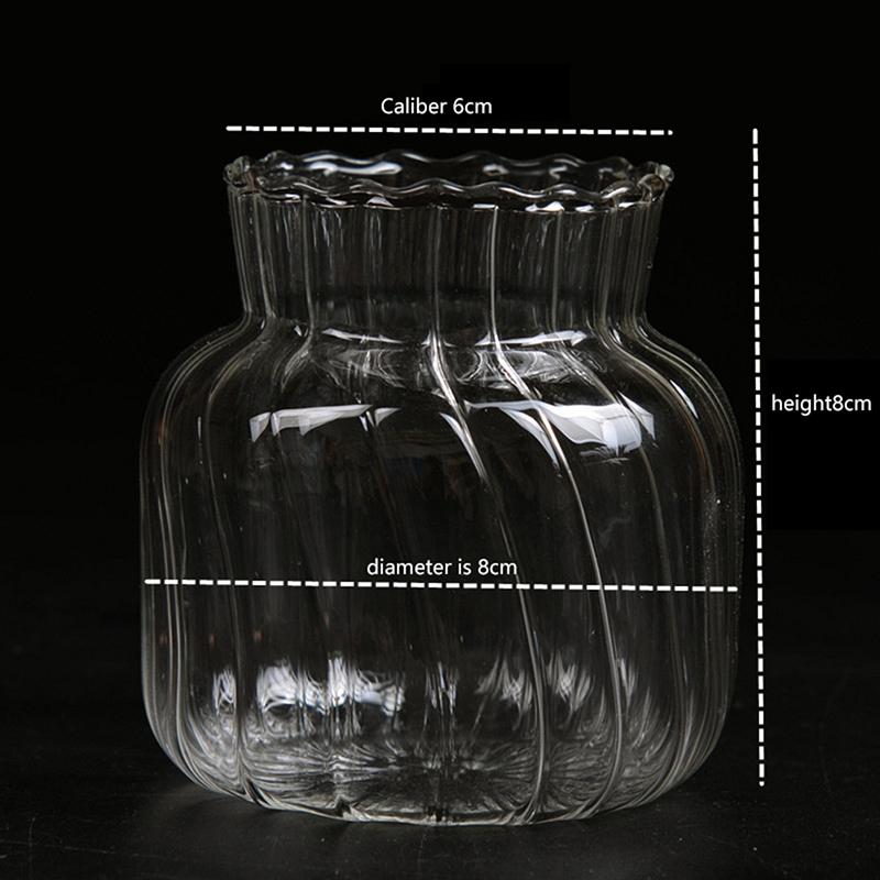 Transparent Glass Vases for Plant Bottle Flower Pot Nordic Creative Hydroponic Terrarium Arrangement Container Table Vase