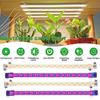 Plant Grow Light with Auto Timer Dimmable Plug-Play Simple Installation Full Spectrum LED Plant Light Desk Grow Lamp