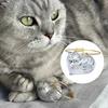 5Pcs Cat Hair Storage Bottle Cat Hair Keepsake Keychain Transparent Pet Memorial Locket for Storing Fur Thoughtful Gift for Grieving Cat Owners