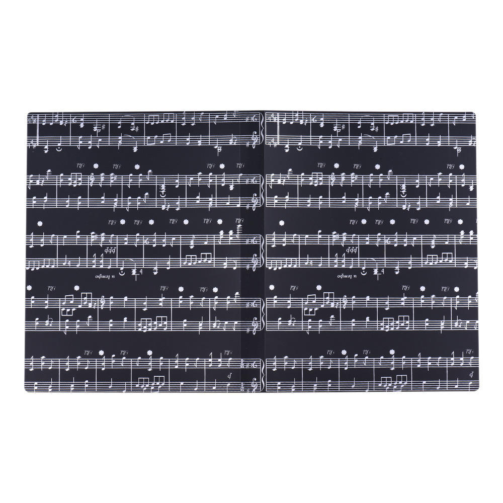 Музыкальный лист, партитура, бумажные документы, папка для хранения, пластиковый держатель формата А4, размер 40, посылка, карманы