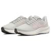 Nike Air Zoom Pegasus 39 Светлый Железный Рудник Атмосфера Женские DH4072-003