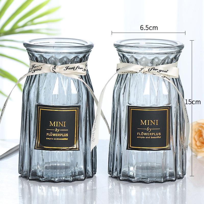 Transparent Glass Vase for Hydroponic Plants and Flower Arrangements