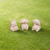 3pcs Cute Animal Sculpture Resin Miniatures Figurine Hedgehog Statue  Courtyard