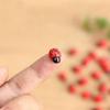 Toy Simulation Miniature Model Fairy Garden Landscape Ladybug Figurines Bonsai Decor Wooden Crafts
