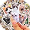 10/50/100pcs Funny Cat Stickers Cartoon Cute Decals Toy Stationery Guitar Phone Bicycle Book Laptop Luggage Graffiti Kid Sticker