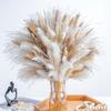 Source Yunnan Dried Flower Bouquet Combination, Real Flower Pampas Grass Home Decoration Reed Rabbit Tail Grass Dried Flowers