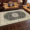 Crystal Pile Vintage Persian Living Room Full Rug Ethnic Style Coffee Table Sofa Mats Bedroom Bed Cloakroom Carpet