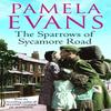 The Sparrows of Sycamore Road by Pamela Evans Paperback Book 9780755321476