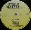 12-дюймовая пластинка SHABBA RANKS Caan Dun SCT15 Steely Clevie 1990 UK Reggae Ska Dub Б/у